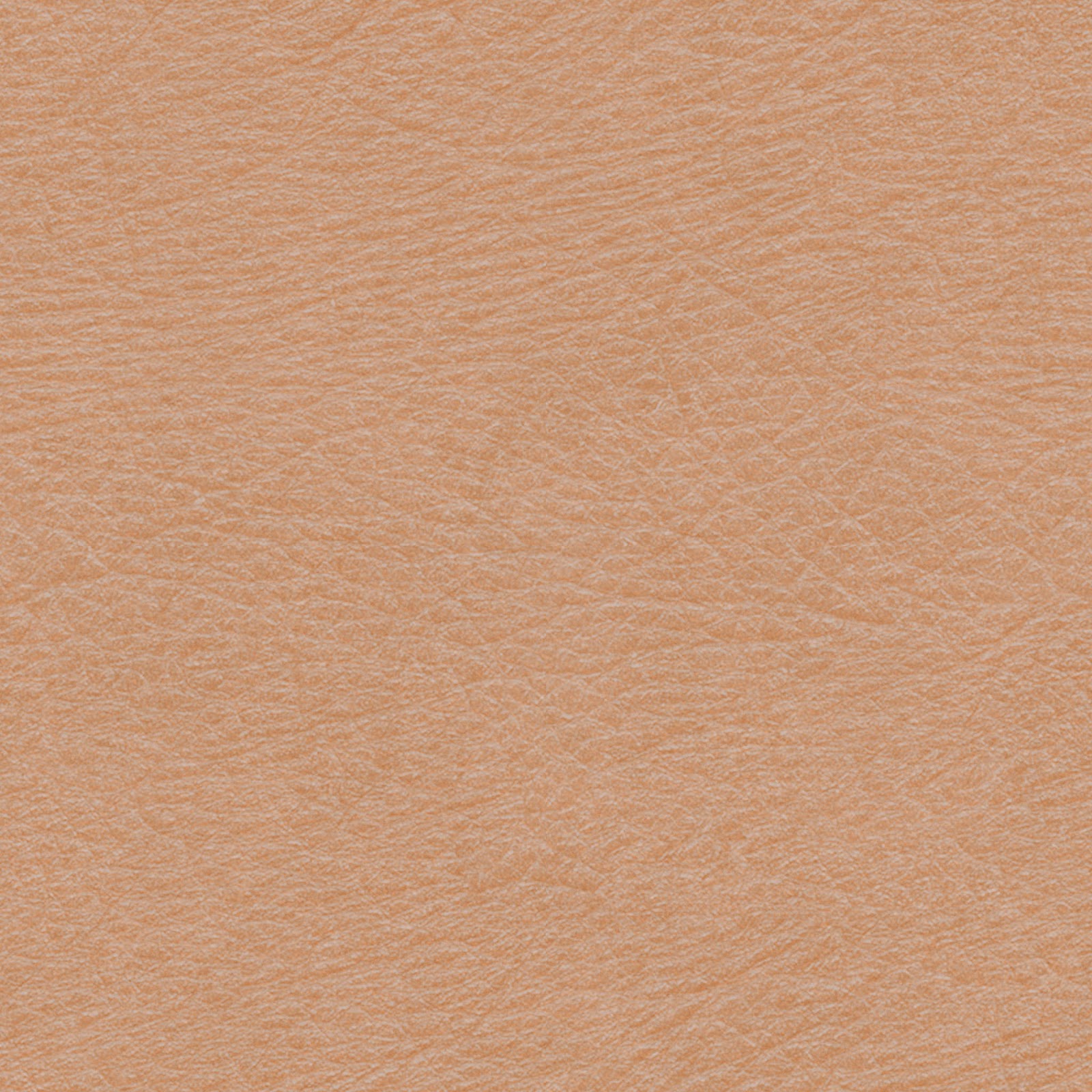 HIGH RESOLUTION TEXTURES Skin