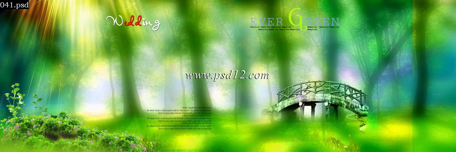 Backgrounds 12x36 Size Can Hold Numerous Photos